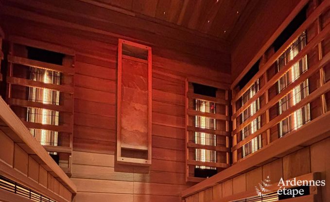 Ultramoderne Villa in Somme-Leuze fr 12 Personen mit Hallenbad, Sauna und Privatgarten