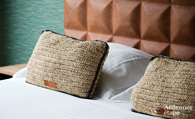 Ultramoderne Villa in Somme-Leuze fr 12 Personen mit Hallenbad, Sauna und Privatgarten