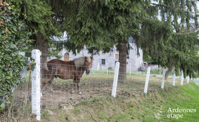 Ferienhaus Somme-Leuze 4/6 Pers. Ardennen