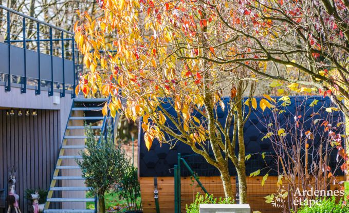 Wohnung Sourbrodt 2/4 Pers. Ardennen Wellness