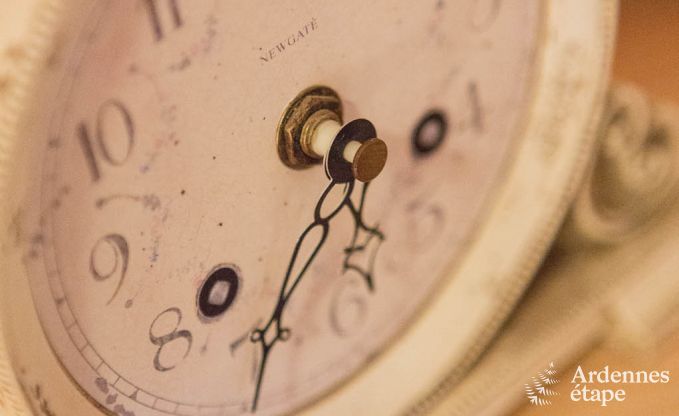 Chalet Spa (Nivez�) 9 Pers. Ardennen Wellness