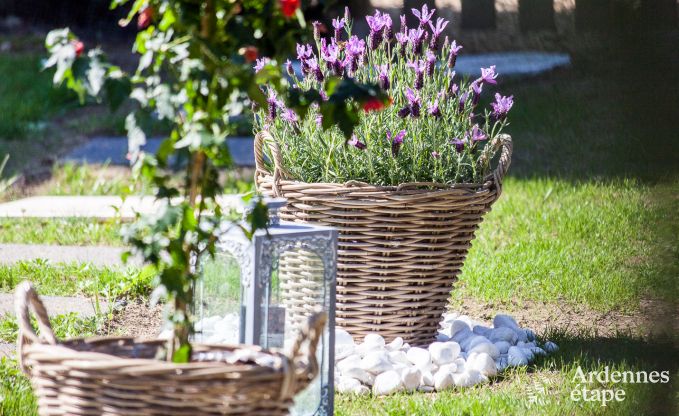Ferienhaus Spa 2/3 Pers. Ardennen