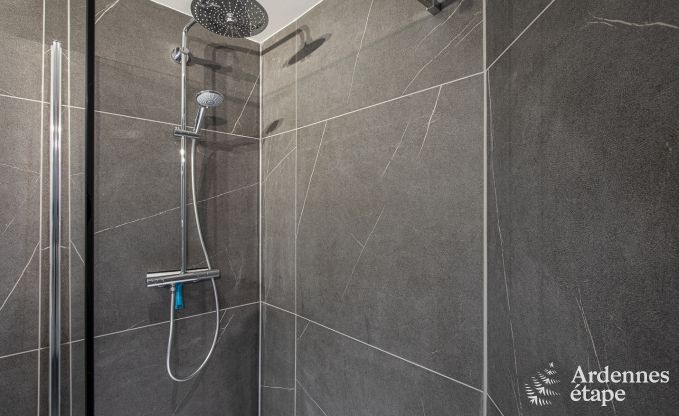 Ferienhaus Spa 12 Pers. Ardennen Wellness