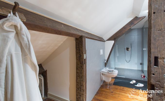 Ferienhaus Spa 20 Pers. Ardennen Wellness