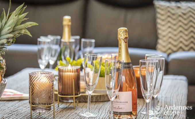 Ferienhaus Spa 12 Pers. Ardennen Wellness