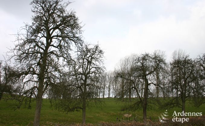 Ferienhaus Sprimont 4 Pers. Ardennen