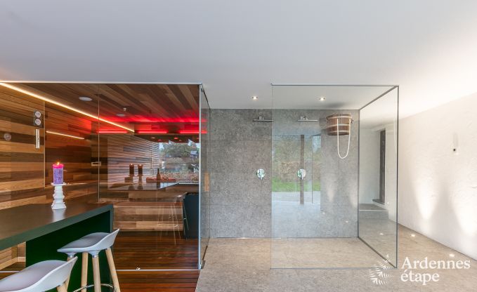 Luxusvilla St Vith 14 Pers. Ardennen Schwimmbad Wellness