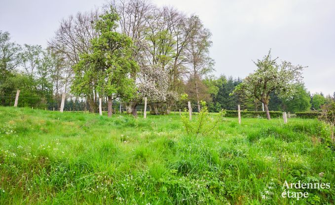 Gerumiges und gemtliches Ferienhaus in Stavelot, Hohes Venn