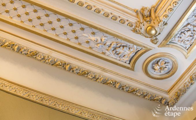 Luxusvilla Stavelot 14 Pers. Ardennen Wellness