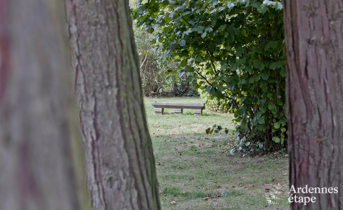 Schloss Tintigny 20 Pers. Ardennen Wellness