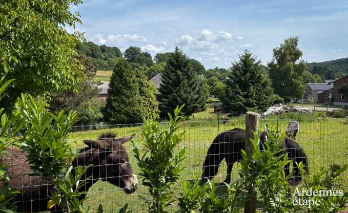 Gemtliches, hundefreundliches Ferienhaus fr 6 Personen in Trois-Ponts, Ardennen.