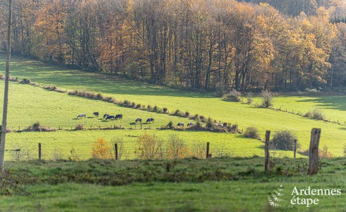 Chalet Vencimont 10 Pers. Ardennen Wellness