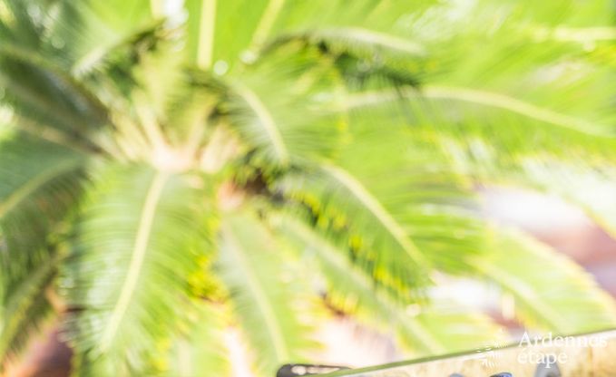 Chalet Vielsalm 4/5 Pers. Ardennen