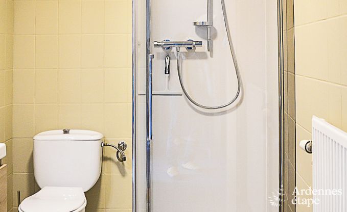 Ferienhaus Vielsalm 4 Pers. Ardennen