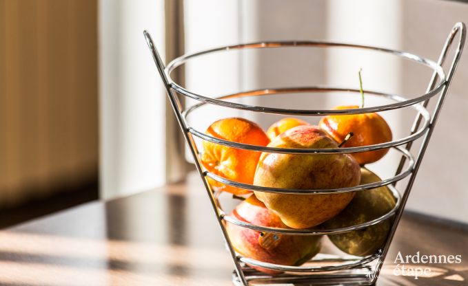 Ferienhaus Vielsalm 16 Pers. Ardennen