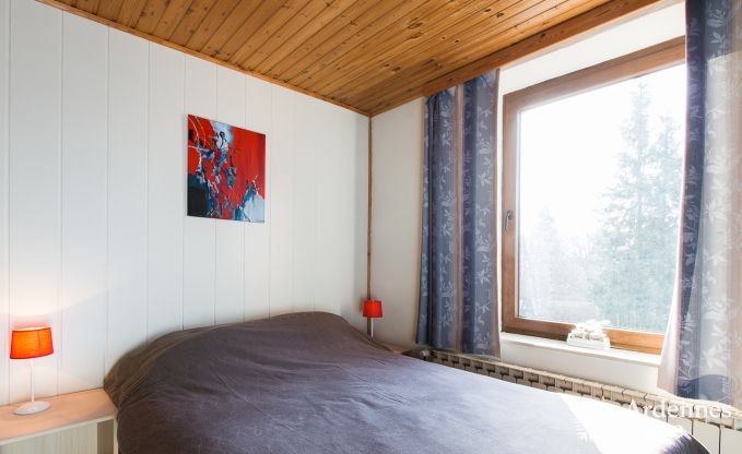 Ferienhaus Vielsalm 16 Pers. Ardennen