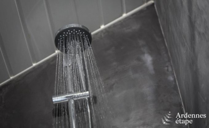 Ferienhaus Vielsalm 2 Pers. Ardennen