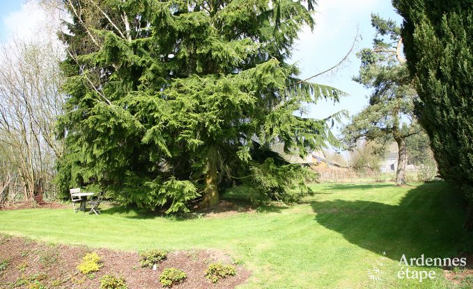 Ferienhaus Vielsalm 10 Pers. Ardennen