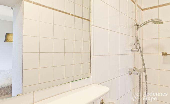 Ferienhaus Vielsalm 10 Pers. Ardennen