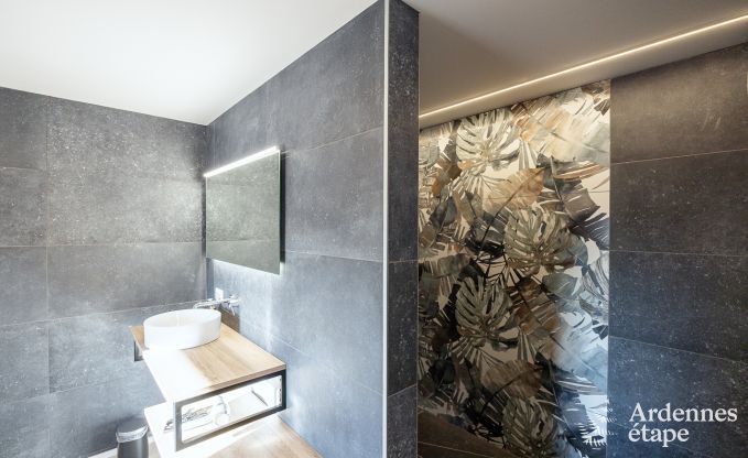 Ferienhaus f�r 9 Personen in Vielsalm, Ardennen