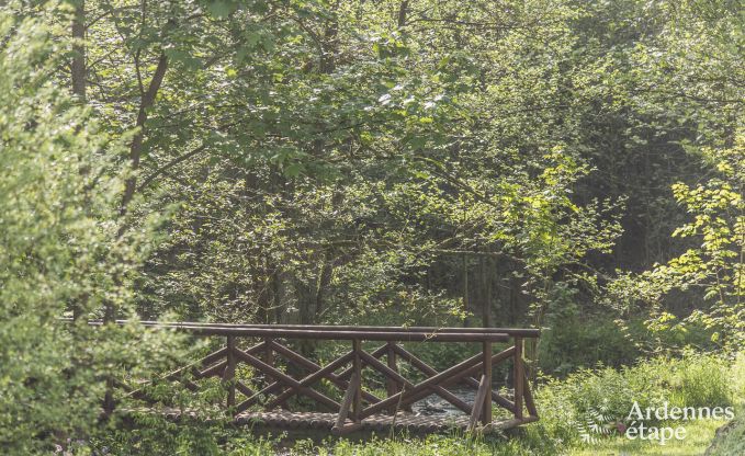 Ferienhaus Vielsalm 10 Pers. Ardennen Wellness