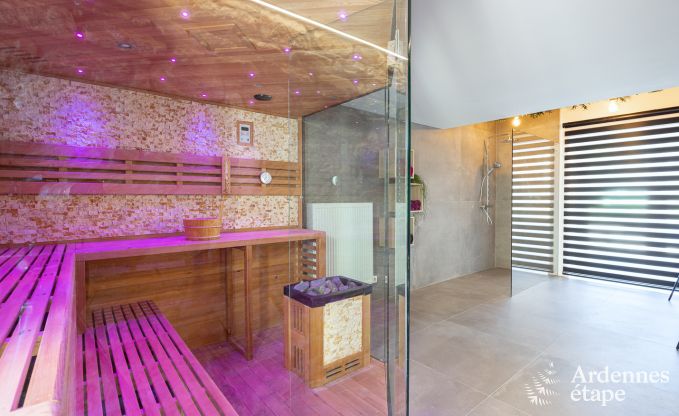 Komfortables und modernes Ferienhaus im Wald, Vielsalm - Ardennen