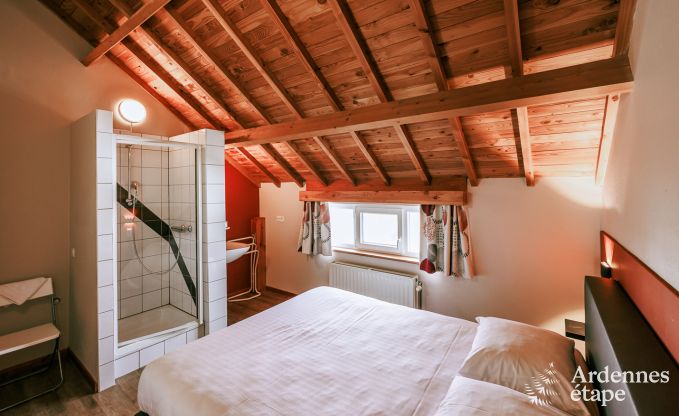 Ferienhaus für 26 Personen in 4-Sterne-Luxus in Vielsalm