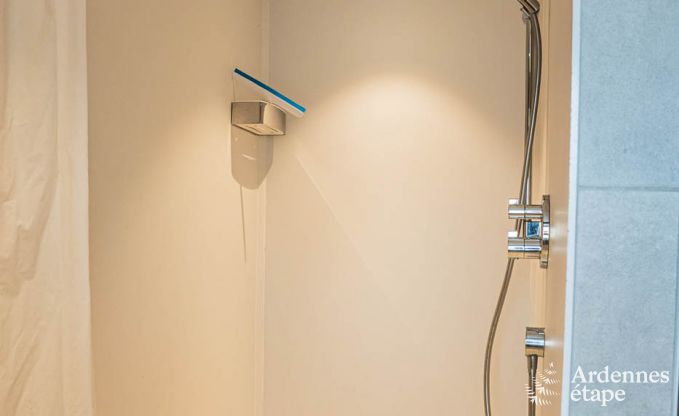 Luxusvilla in Vielsalm f�r 20 Personen mit 7 Schlafzimmern, Hallenbad, Sauna und Privatgarten