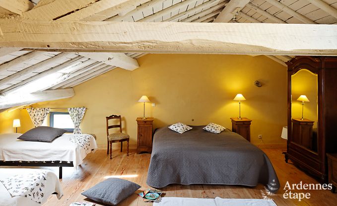 Cottage Vielsalm 19 Pers. Ardennen Wellness