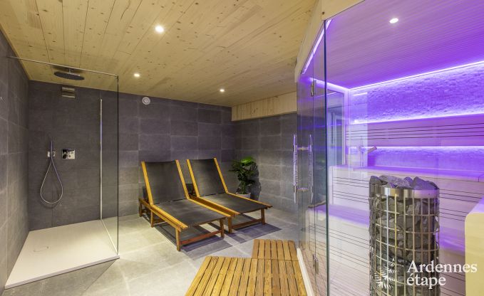 Ferienhaus Vielsalm 12 Pers. Ardennen Wellness Behinderten gerecht