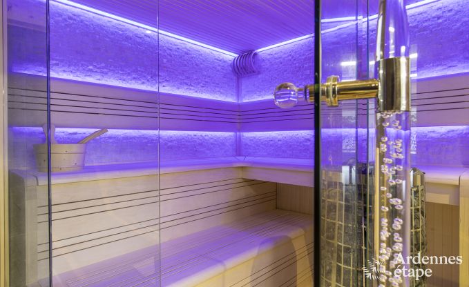 Ferienhaus Vielsalm 12 Pers. Ardennen Wellness Behinderten gerecht