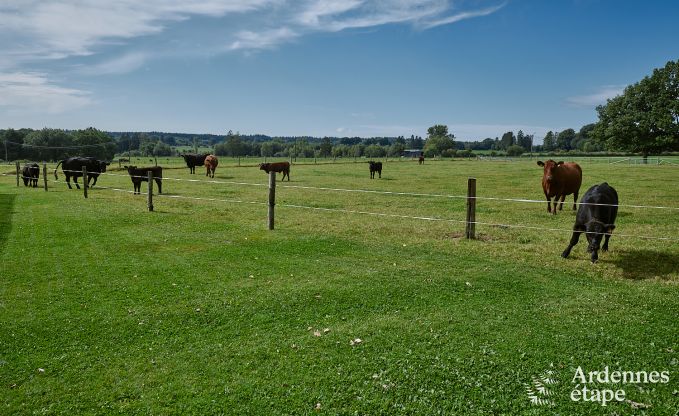 Einzigartige Jurte f�r 2 Personen in Vielsalm mit modernem Badezimmer, Privatgarten und Fahrradabstellplatz