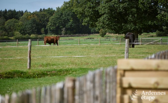 Einzigartige Jurte f�r 2 Personen in Vielsalm mit modernem Badezimmer, Privatgarten und Fahrradabstellplatz