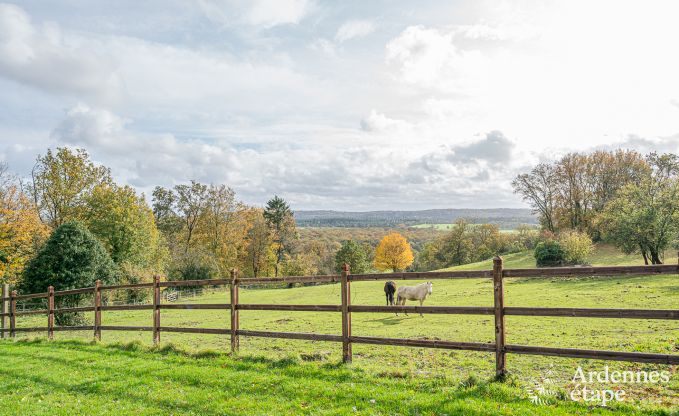 Ferienhaus Villers-en-Fagne 2 Pers. Ardennen Wellness