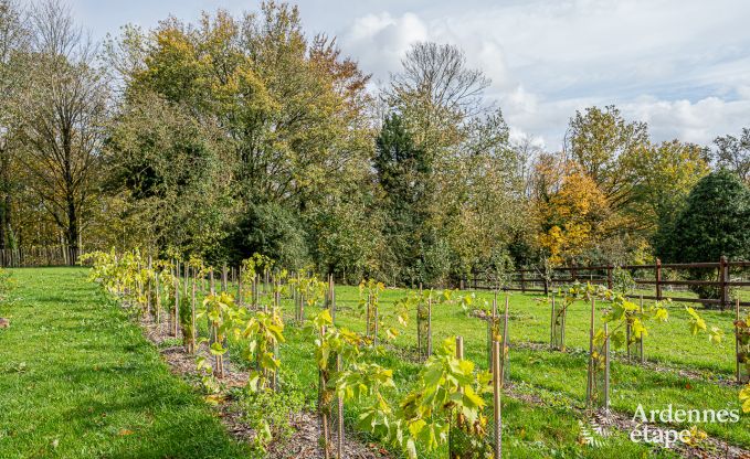 Unvergesslicher Aufenthalt in Villers-en-Fagne: Ferienhaus mit Sauna, Jacuzzi und atemberaubender Aussicht in den Ardennen.