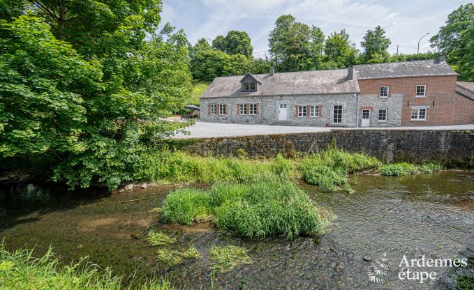 Luxuri�s eingerichtetes Ferienhaus in Virelles f�r 9 Personen mit offenem Kamin