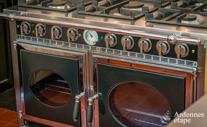 Luxuri�s eingerichtetes Ferienhaus in Virelles f�r 9 Personen mit offenem Kamin