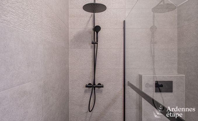 Luxuri�s eingerichtetes Ferienhaus in Virelles f�r 9 Personen mit offenem Kamin