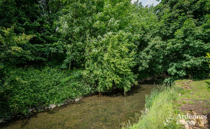 Luxuri�s eingerichtetes Ferienhaus in Virelles f�r 9 Personen mit offenem Kamin