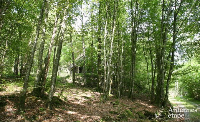 Chalet Viroinval 9 Pers. Ardennen