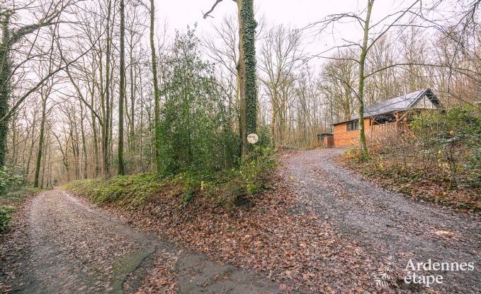 Unvergesslicher Aufenthalt in Viroinval: Komfortables Chalet in den Ardennen fr 4 Personen mit Sauna und nordischem Bad