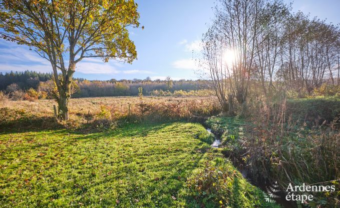 Ferienhaus Viroinval 8 Pers. Ardennen Wellness