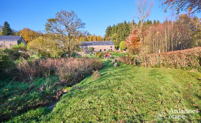 Ferienhaus Viroinval 8 Pers. Ardennen Wellness