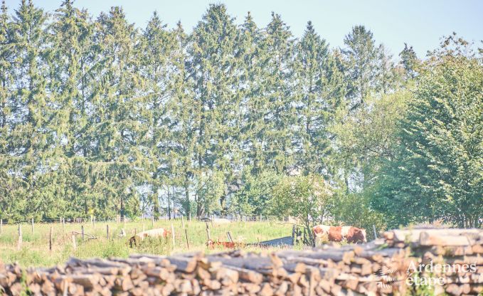 Ferienhaus Virton 4 Pers. Ardennen Behinderten gerecht