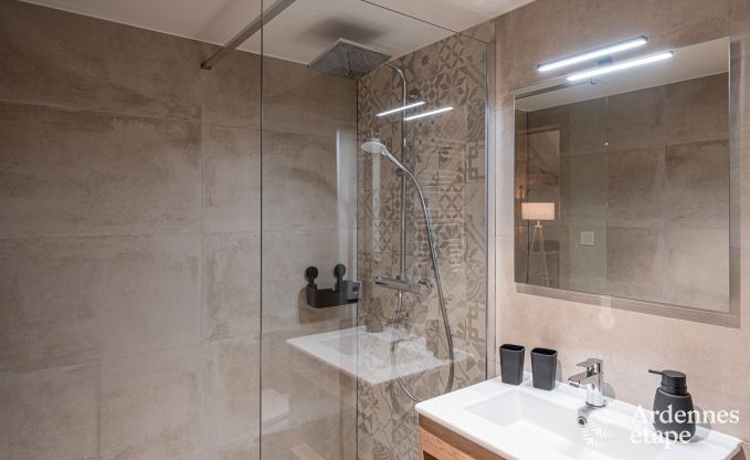 Luxusvilla Vresse-sur-Semois 14 Pers. Ardennen Schwimmbad Wellness