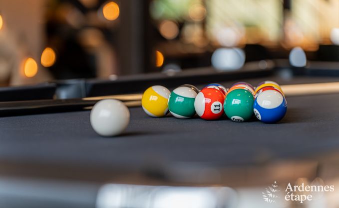 Luxusvilla Vresse-sur-Semois 14 Pers. Ardennen Schwimmbad Wellness