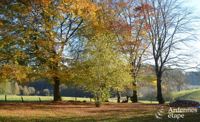 Ferienhaus Waimes 8 Pers. Ardennen Wellness