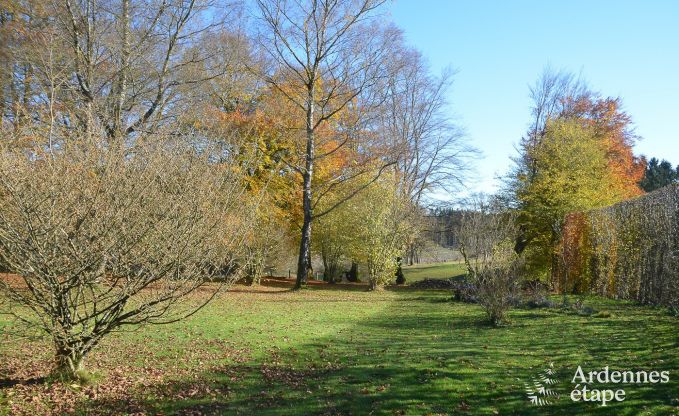 Ferienhaus Waimes 8 Pers. Ardennen Wellness