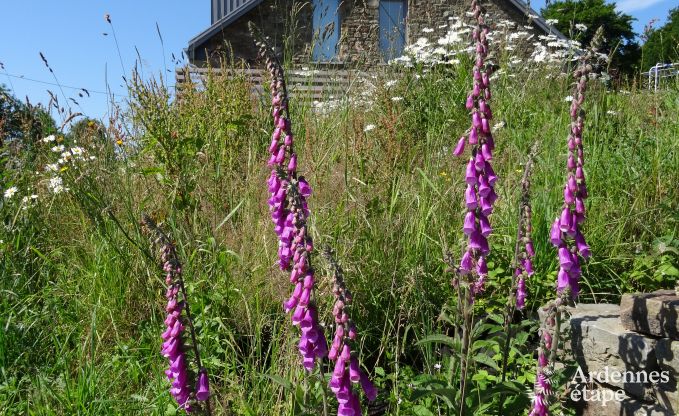 Ferienhaus Waimes 8 Pers. Ardennen Wellness