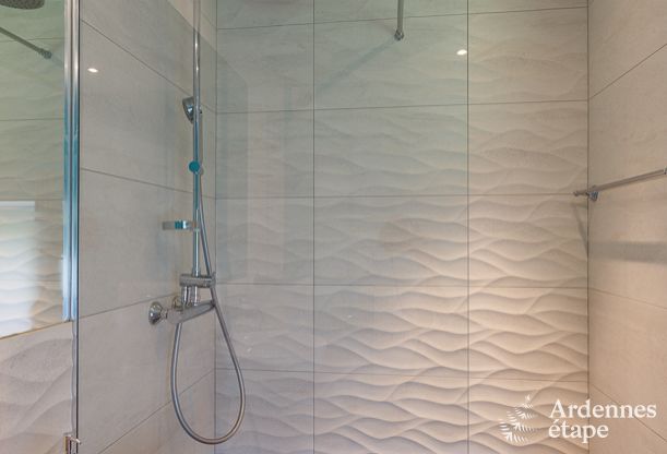 Luxusvilla Waimes 12 Pers. Ardennen Schwimmbad Wellness